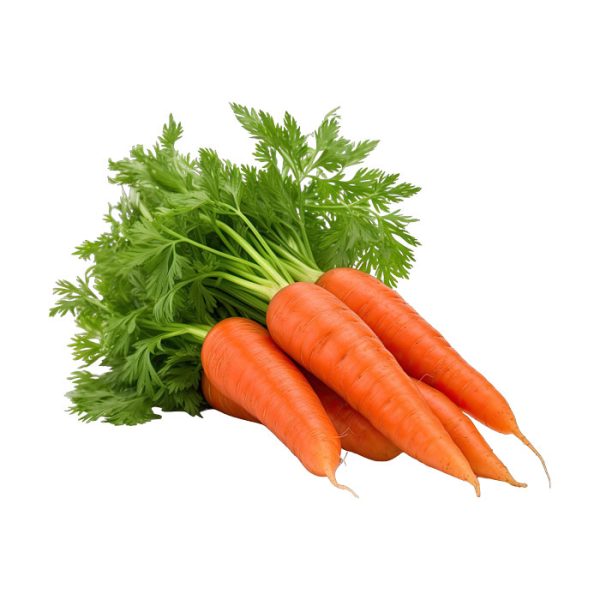 1kg Carrote Fraiche