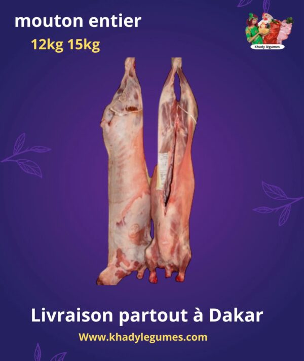 Mouton entier 12kg 15kg