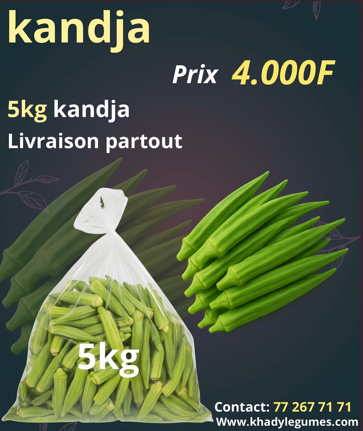 03d6985d-0cb8-44bd-b444-03c29ffd9bde